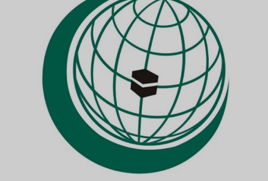 OKI Kecam Kunjungan Ketua DPR AS ke Koloni ilegal Israel di Tepi Barat